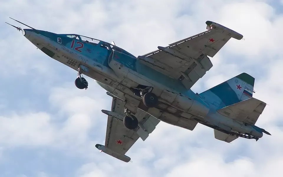Саки